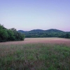 pink-field-facing-hills-800