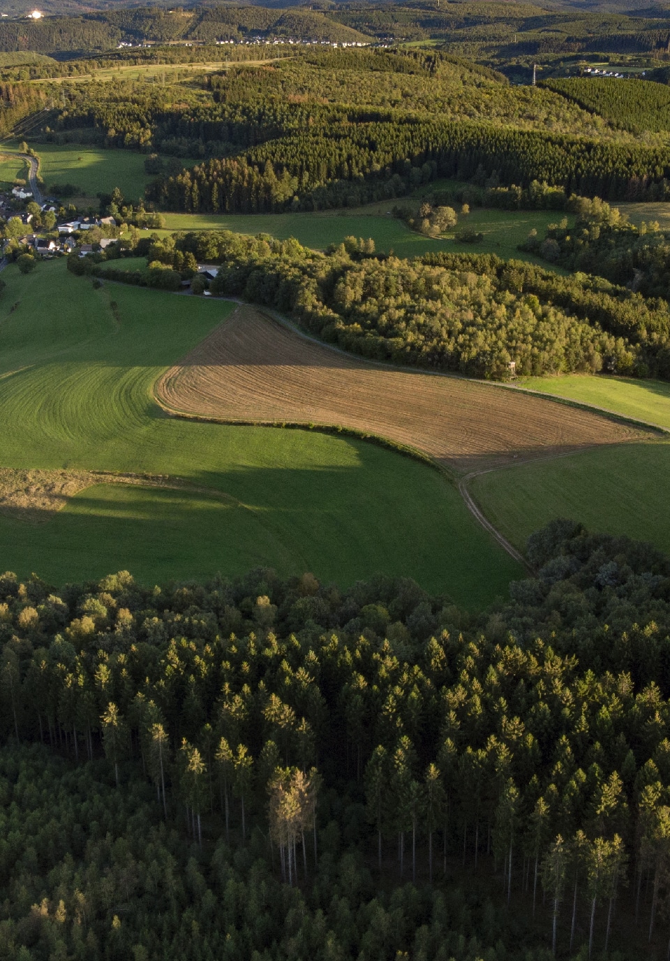 The rolling hills of Middle Tennessee