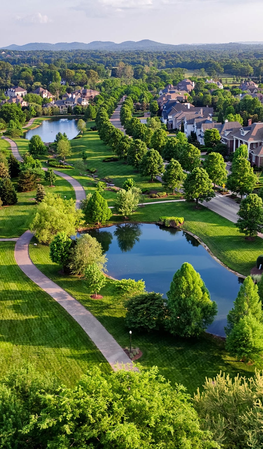 Linear Park in Annandale