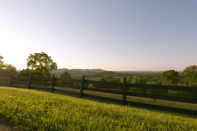 A gate partitioning a field of grass